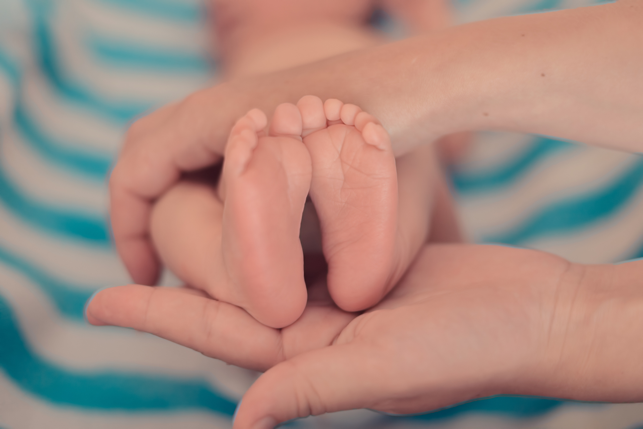 Baby feet in mother hands